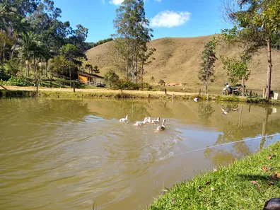 Fazenda/Sítio com 2 Quartos à venda, 240000m² no , Natividade da Serra