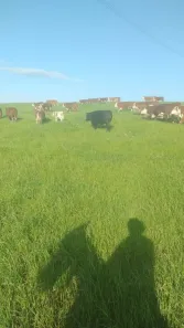 Fazenda/Sítio à venda, 121000m² no , Dom Pedrito