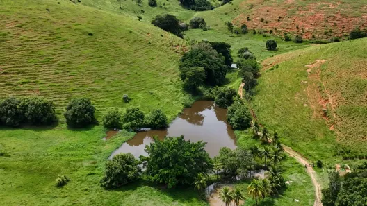 Fazenda/Sítio com 5 Quartos à venda, 895400m² no , Bom Jesus do Itabapoana