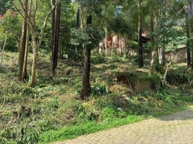 Lote/Terreno à venda, 129m² no Retiro, Petrópolis