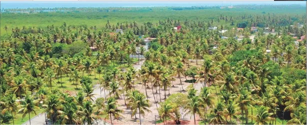 Lote/Terreno à venda, 536m² no Centro, Ipojuca