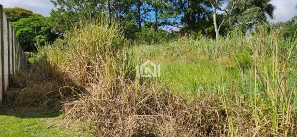 Lote/Terreno à venda, 513m² no Jardim Colonial, Carapicuíba