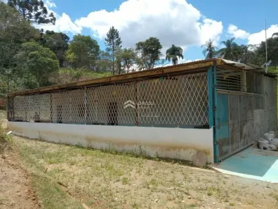 Fazenda/Sítio com 3 Quartos à venda, 150m² no Capela de São Pedro, Vargem Grande Paulista