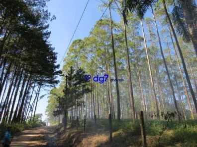 Lote/Terreno à venda, 237000m² no Centreville, Cotia