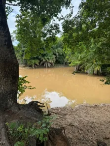 Fazenda/Sítio à venda, 1540000m² no , Corguinho
