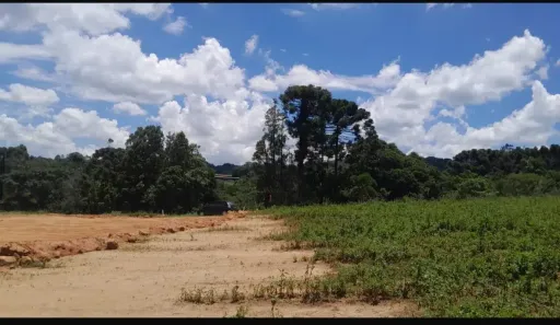 Lote/Terreno à venda, 500m² no Vila São Roque (Caucaia do Alto), Cotia