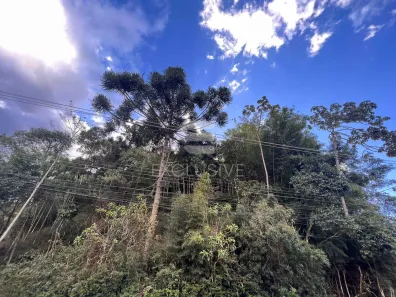 Lote/Terreno à venda, 800m² no Mury, Nova Friburgo