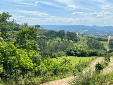 Galpão/Depósito/Armazém à venda, 239000m² no , São José do Hortêncio