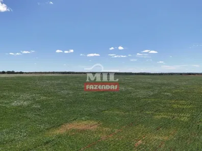 Fazenda/Sítio à venda, 500m² no , Figueirópolis