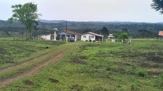 Fazenda/Sítio com 2 Quartos à venda, 21950m² no Palmeirinha, Campina Grande do Sul