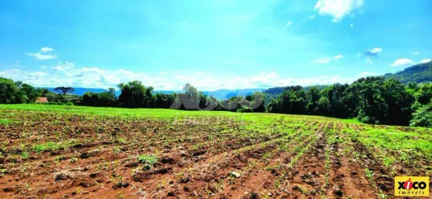 Fazenda/Sítio com 1 Quarto à venda, 5000m² no Dos Boêmios, Nova Petrópolis