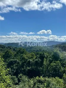 Lote/Terreno à venda, 5500m² no Palmeiras, Mairiporã