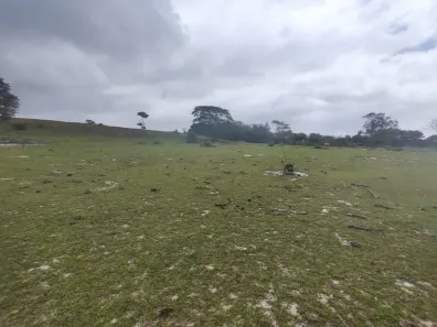 Fazenda/Sítio à venda, 169400m² no Centro, Carapebus