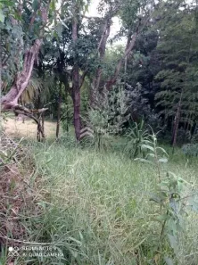 Lote/Terreno à venda, 2916m² no , Vargem Grande Paulista