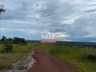 Fazenda/Sítio à venda, 3230m² no , São Raimundo das Mangabeiras