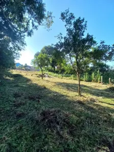 Lote/Terreno à venda, 999m² no Bela Vista, Caxias do Sul