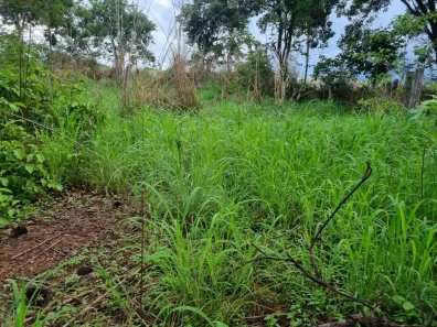 Fazenda/Sítio à venda, 1379400m² no , Aurora do Tocantins