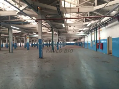 Galpão/Depósito/Armazém para alugar, 12427m² no Vila Arapuã, São Paulo