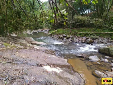 Fazenda/Sítio com 1 Quarto à venda, 5000m² no , Nova Petrópolis