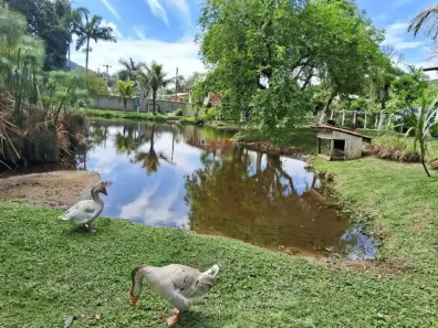 Sobrado com 4 Quartos para alugar, 180m² no Ilhota, Itapema