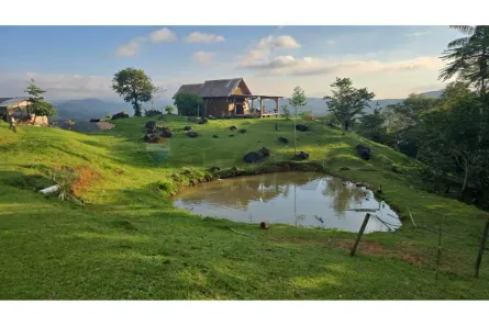 Fazenda/Sítio à venda, 126000m² no Encano, Indaial