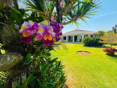 Fazenda/Sítio com 5 Quartos à venda, 31000m² no Vila Belo Horizonte, Itapetininga