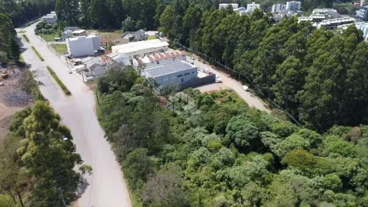 Lote/Terreno à venda, 46616m² no Desvio Rizzo, Caxias do Sul