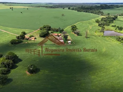 Fazenda/Sítio à venda, 1m² no Área Rural de Ourinhos, Ourinhos
