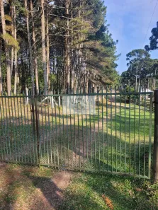 Fazenda/Sítio com 1 Quarto à venda, 52380m² no , Campo Alegre