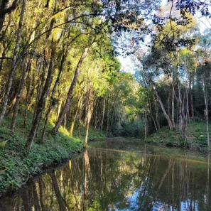 Fazenda/Sítio à venda, 234035m² no Itaiacoca, Ponta Grossa