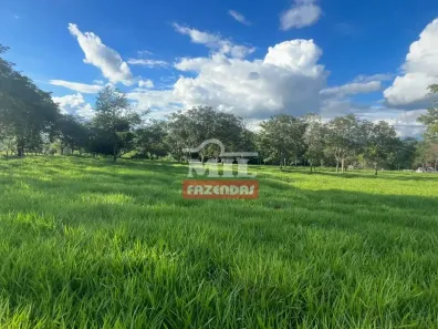 Fazenda/Sítio à venda, 500m² no , Avelinópolis