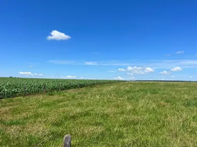 Fazenda/Sítio à venda, 2855600m² no , Batayporã