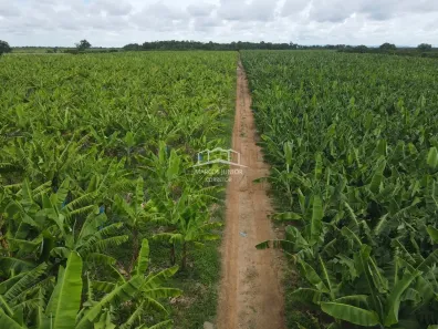 Fazenda/Sítio à venda, 1m² no Área Rural de Montes Claros, Montes Claros