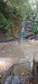 Lote/Terreno à venda, 37000m² no Dos Boêmios, Nova Petrópolis