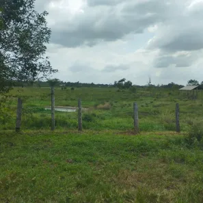Fazenda/Sítio com 3 Quartos à venda, 1m² no Área Rural de Castanhal, Castanhal