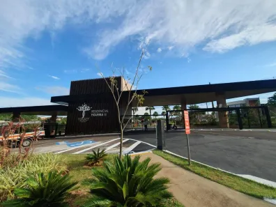 Lote/Terreno à venda, 276m² no Residencial Figueira II, São José do Rio Preto