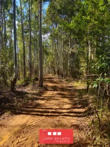 Fazenda/Sítio à venda, 600000m² no , Aiuruoca