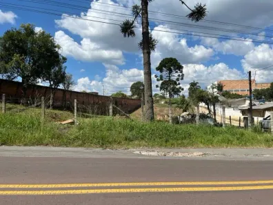 Lote/Terreno à venda, 3189m² no Campo Largo da Roseira, São José dos Pinhais