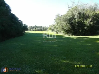 Lote/Terreno à venda, 35001m² no Centro, Morro Reuter