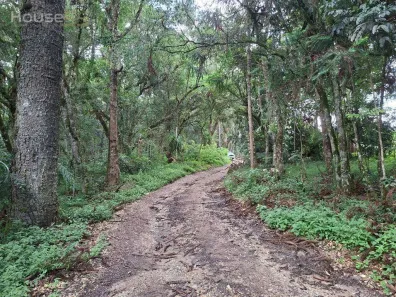 Lote/Terreno à venda, 20000m² no Centro, Campo Largo