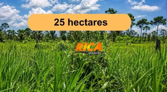 Fazenda/Sítio à venda, 250000m² no , Canutama
