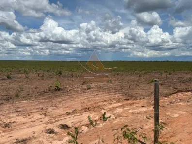 Fazenda/Sítio com 1 Quarto à venda, 290000000m² no Vila Bom Jesus de Minas, Chapada Gaúcha