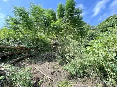Lote/Terreno à venda, 907m² no Vila Santo Antônio, Cotia