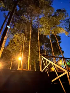 Fazenda/Sítio com 6 Quartos à venda, 300000m² no , Presidente Figueiredo