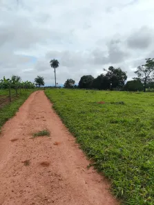 Fazenda/Sítio com 4 Quartos à venda, 11m² no Área Rural de Taquaral de Goiás, Taquaral de Goiás
