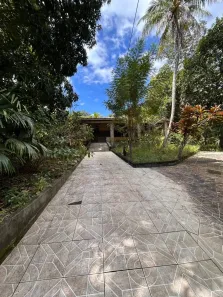 Fazenda/Sítio com 3 Quartos à venda, 23500m² no , Mata de São João