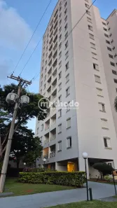 Apartamento com 3 Quartos à venda, 80m² no Mansões Santo Antônio, Campinas