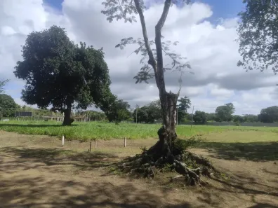 Lote/Terreno à venda, 600m² no Aldeia dos Camarás, Camaragibe