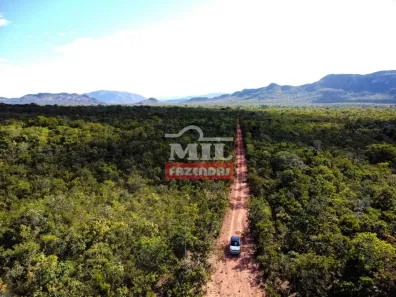 Fazenda/Sítio à venda, 500m² no , Fazenda Nova