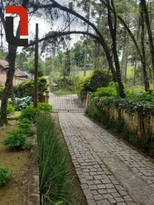 Fazenda/Sítio com 3 Quartos à venda, 230m² no Salgadinho, Campo Largo